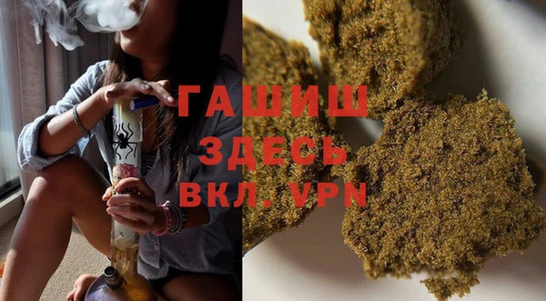 индика Магас