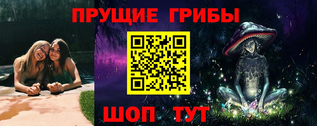 Галлюциногенные грибы Psilocybe  Сафоново  Галлюциногенные грибы Psilocybine cubensis 