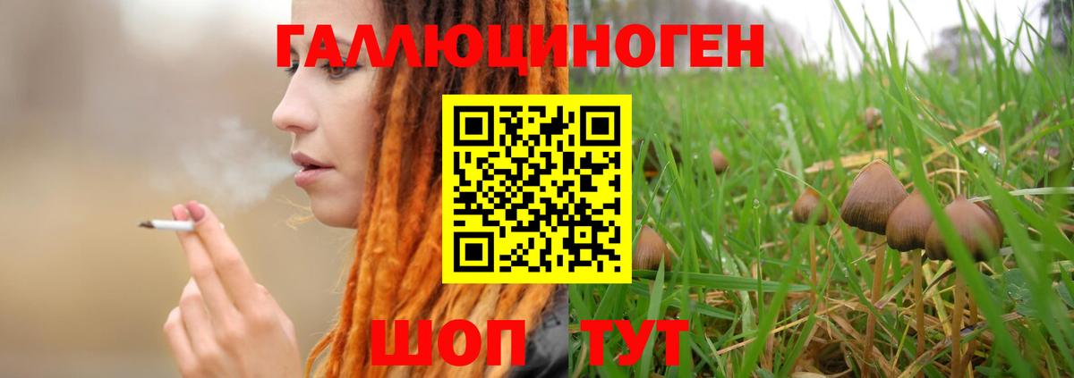 Псилоцибиновые грибы Magic Shrooms  Вход с VPN  Сафоново  Галлюциногенные грибы MAGIC MUSHROOMS 